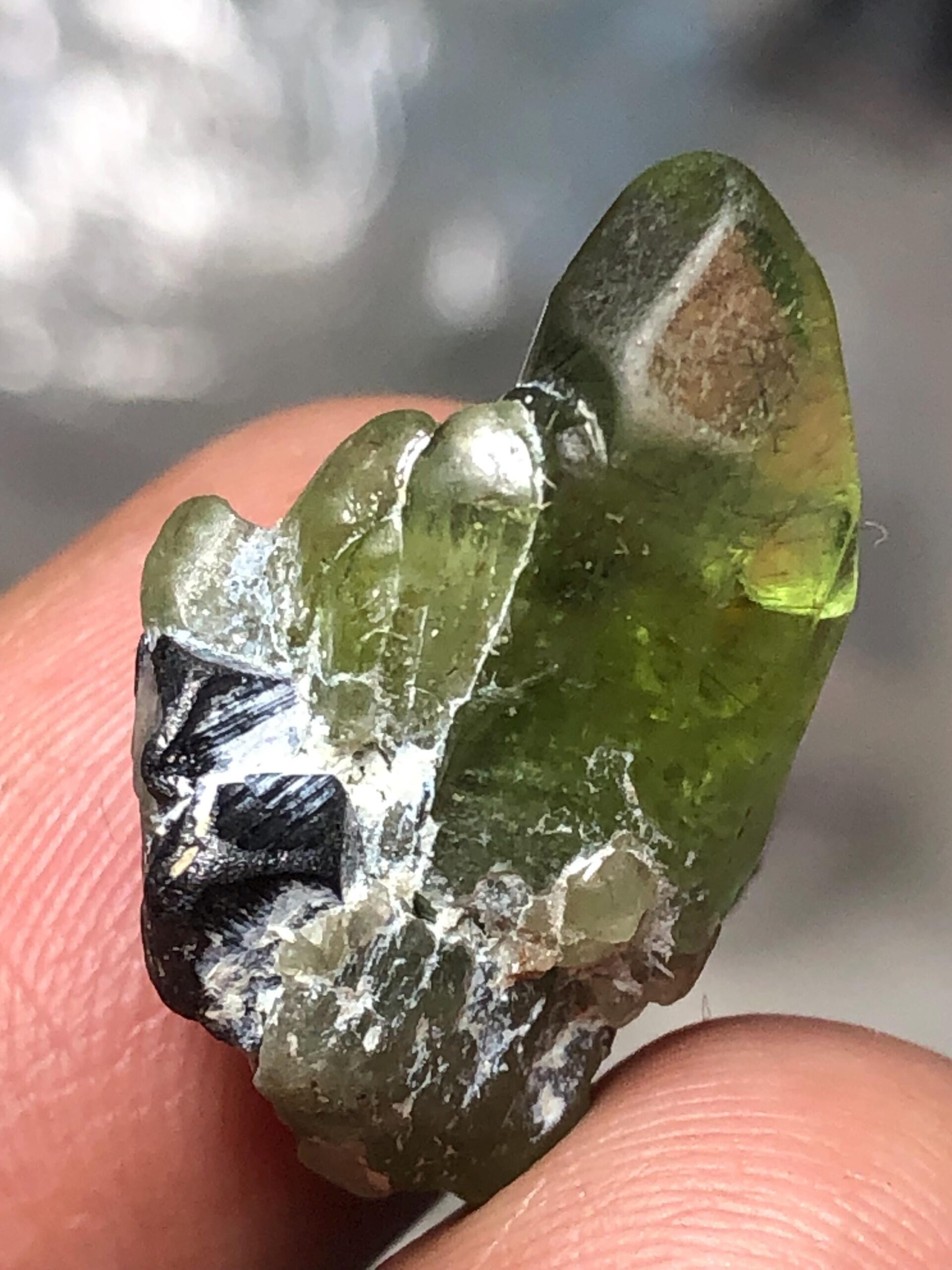 Natural Peridot Crystal Rough 15.15 Carat | Supat Valley Pakistan | Green Olivine Gemstone Specimen - Image 7