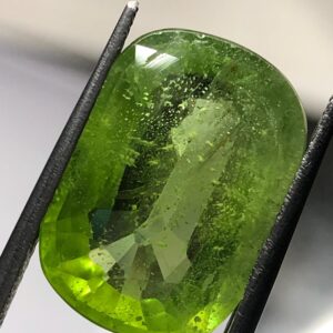 Natural 10.50 Carat Suppat Valley Peridot | Green Cushion Cut Loose Gemstone