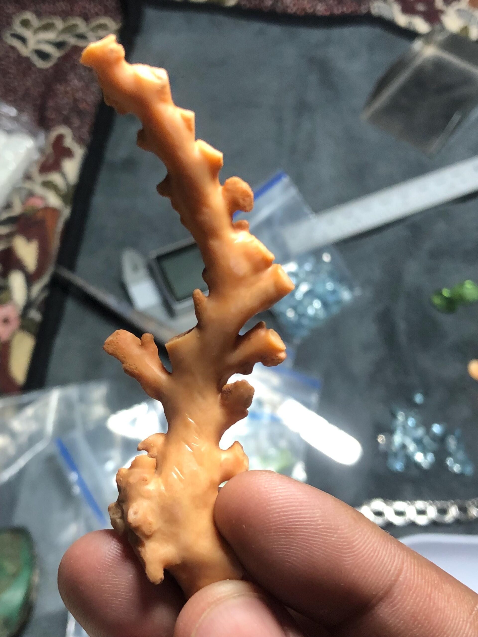 Natural Coral Branch Specimen | Organic Skeleton, Coastal Decor, Collector Piece | 10.211 grm - Image 4