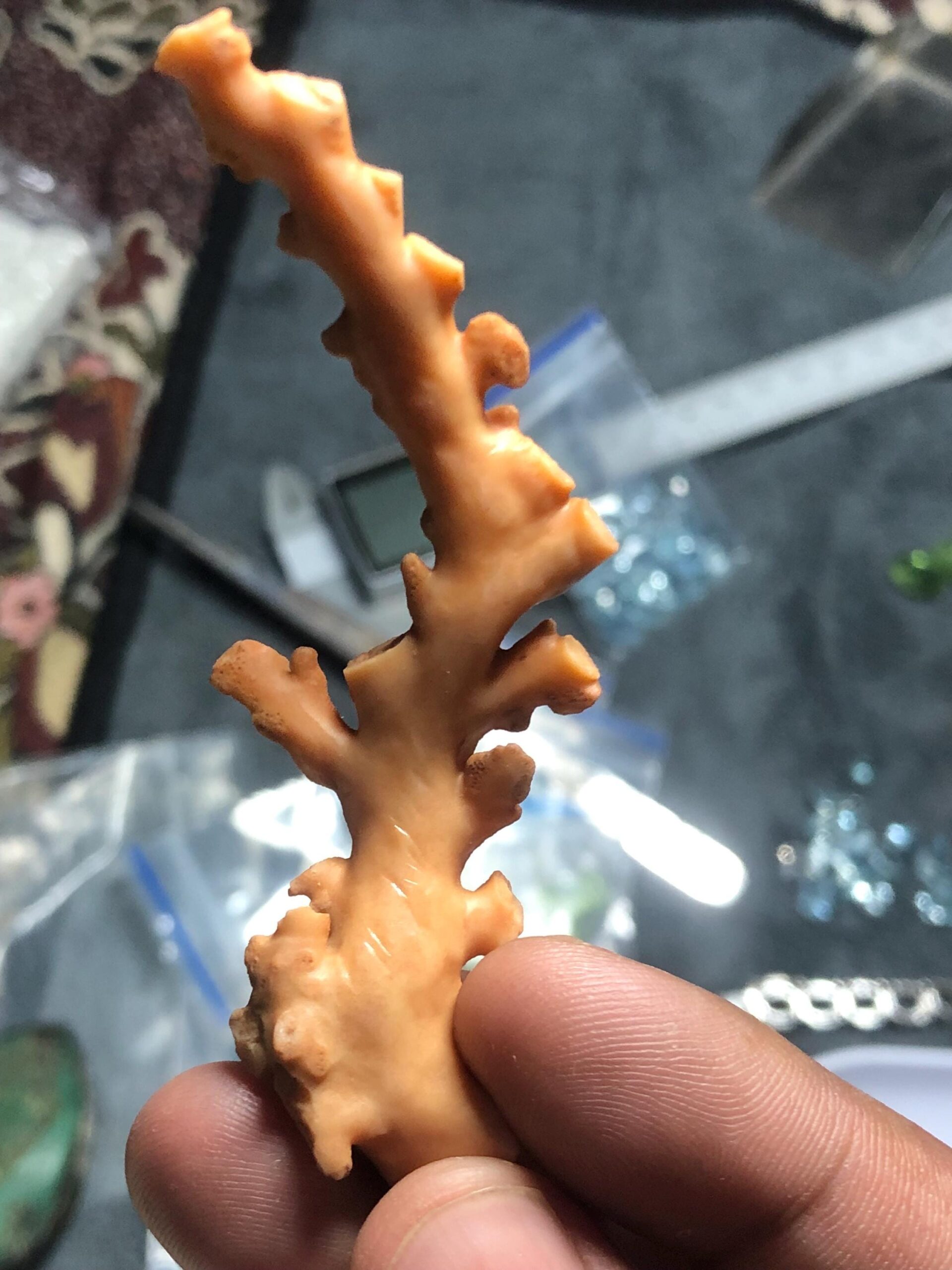 Natural Coral Branch Specimen | Organic Skeleton, Coastal Decor, Collector Piece | 10.211 grm - Image 5