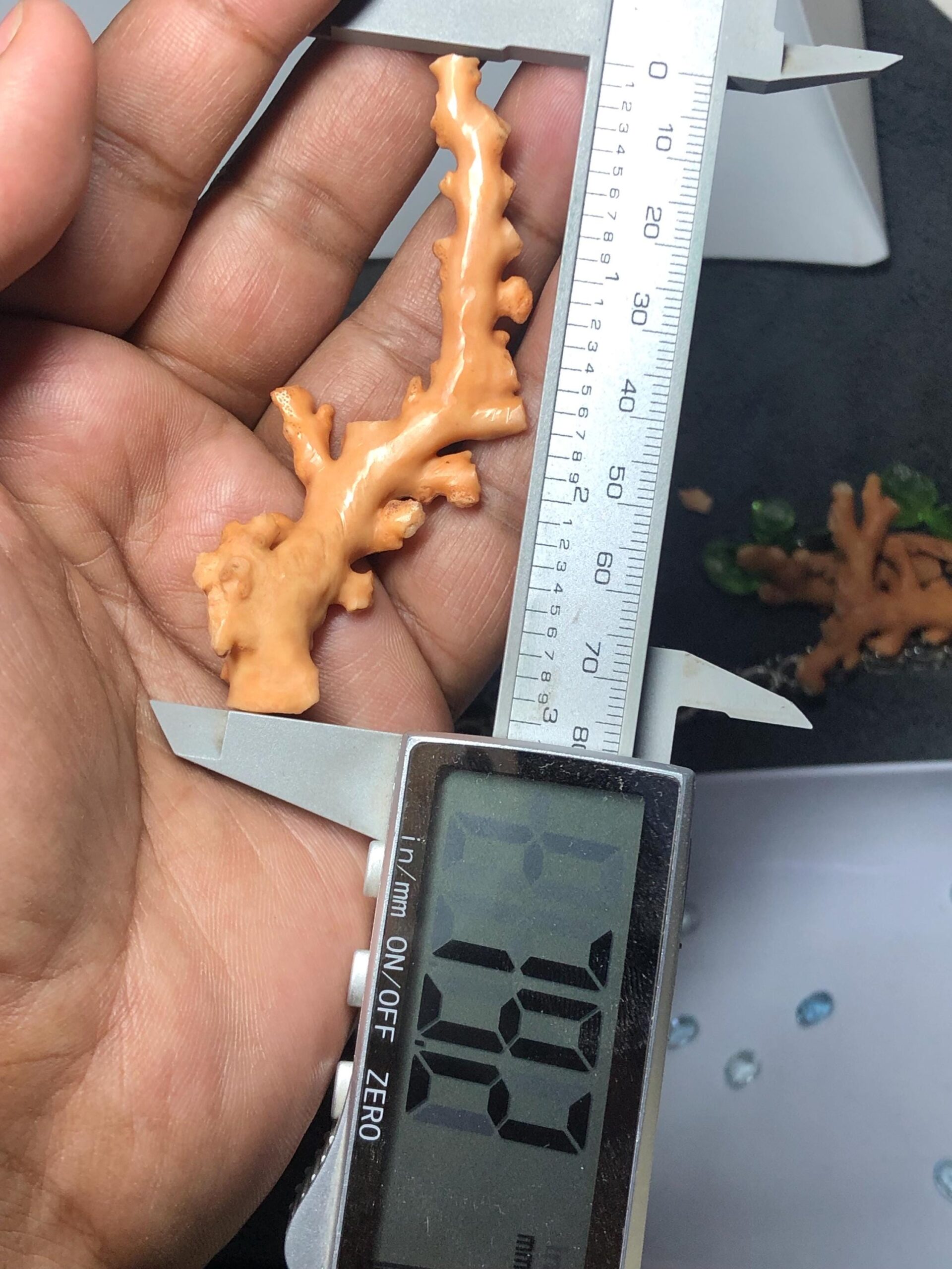 Natural Coral Branch Specimen | Organic Skeleton, Coastal Decor, Collector Piece | 10.211 grm - Image 8