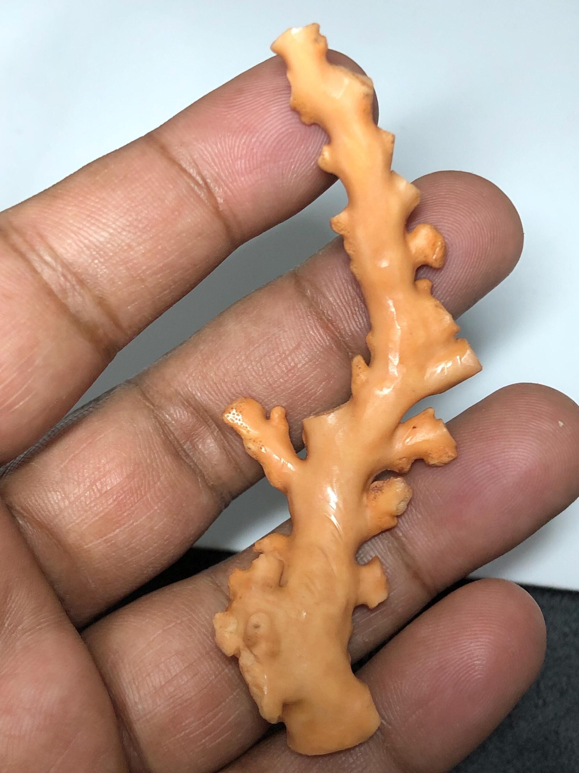 Natural Coral Branch Specimen | Organic Skeleton, Coastal Decor, Collector Piece | 10.211 grm - Image 3