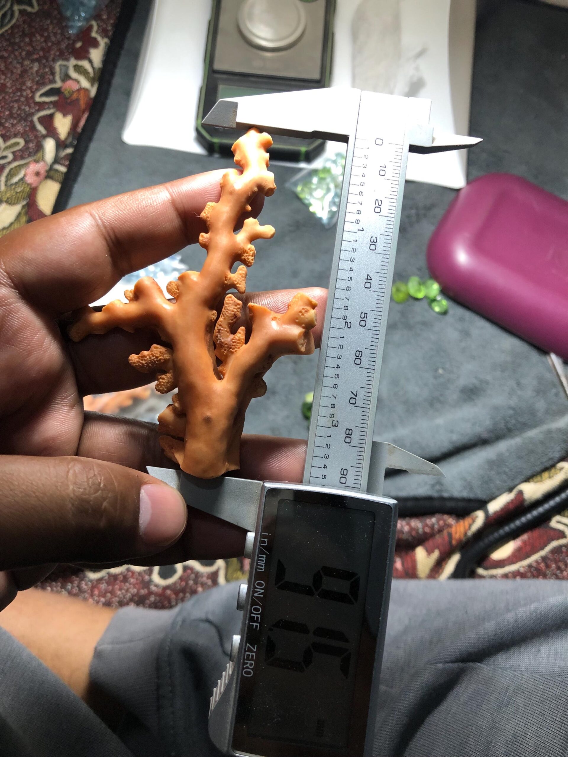 Natural Coral Branch Specimen | Organic Jewelry Making, Coastal Decor | 27.558 grm | 91.5 mm - Image 9