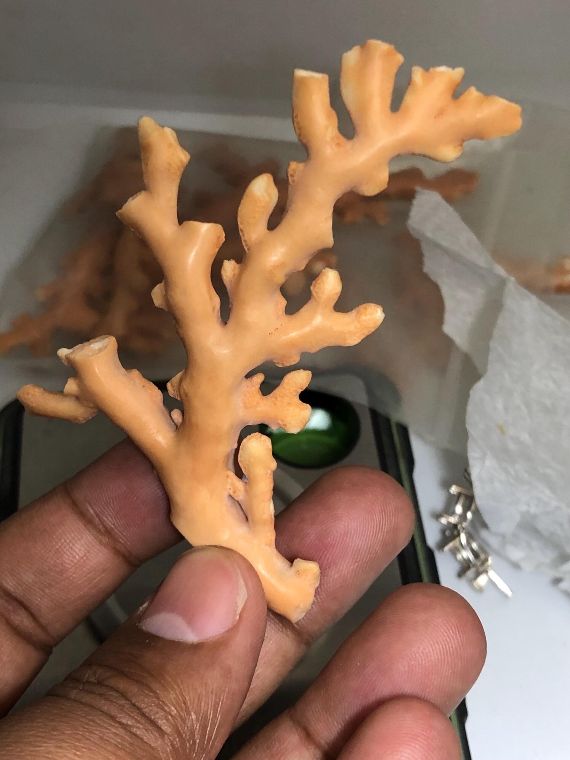 Natural Coral Rough Branch • Genuine Sea Specimen for Jewelry Making, Beach Decor, 67.625 carat - Image 4