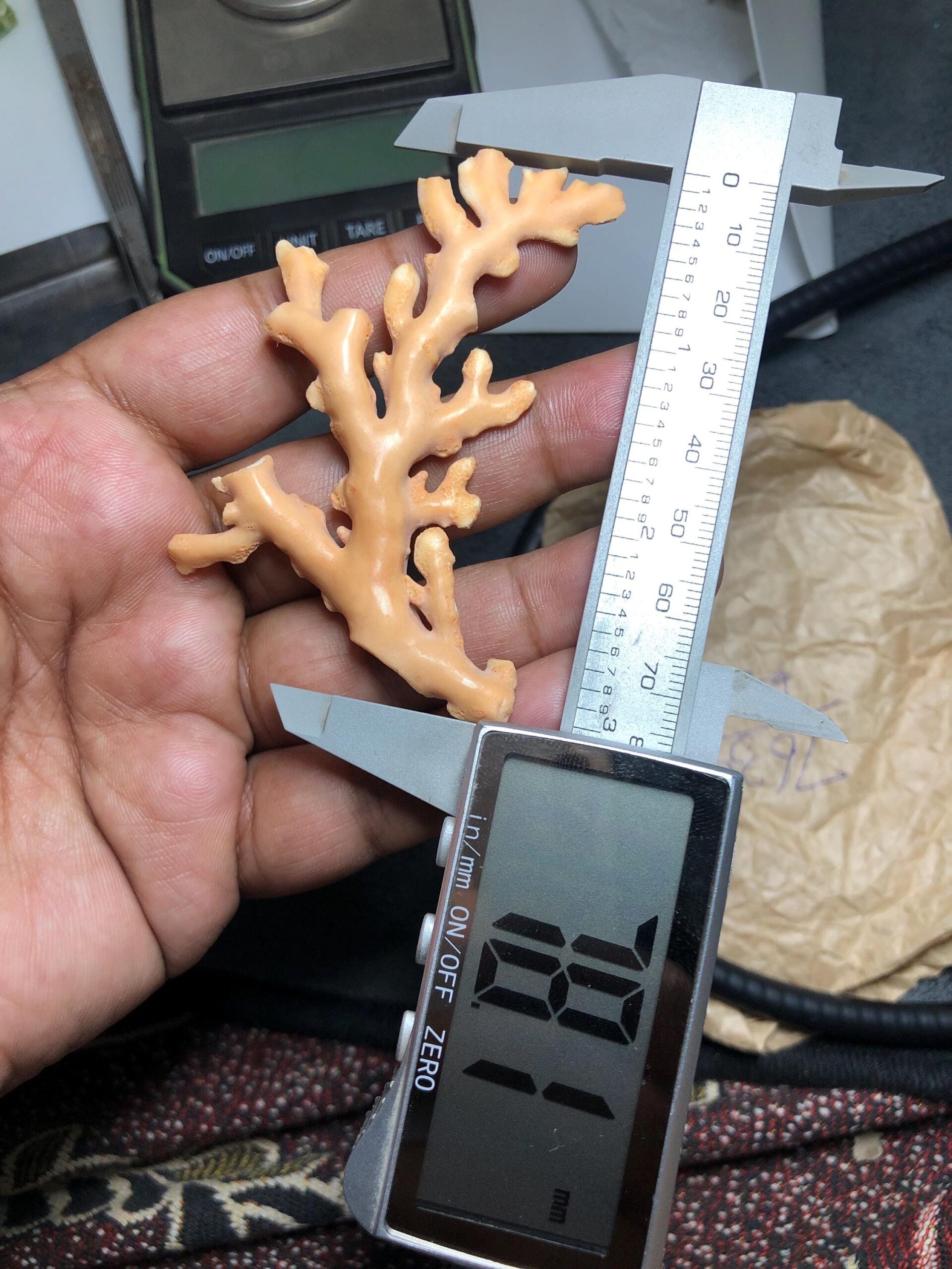 Natural Coral Rough Branch • Genuine Sea Specimen for Jewelry Making, Beach Decor, 67.625 carat - Image 5