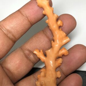 Natural Coral Branch Specimen | Organic Skeleton, Coastal Decor, Collector Piece | 10.211 grm