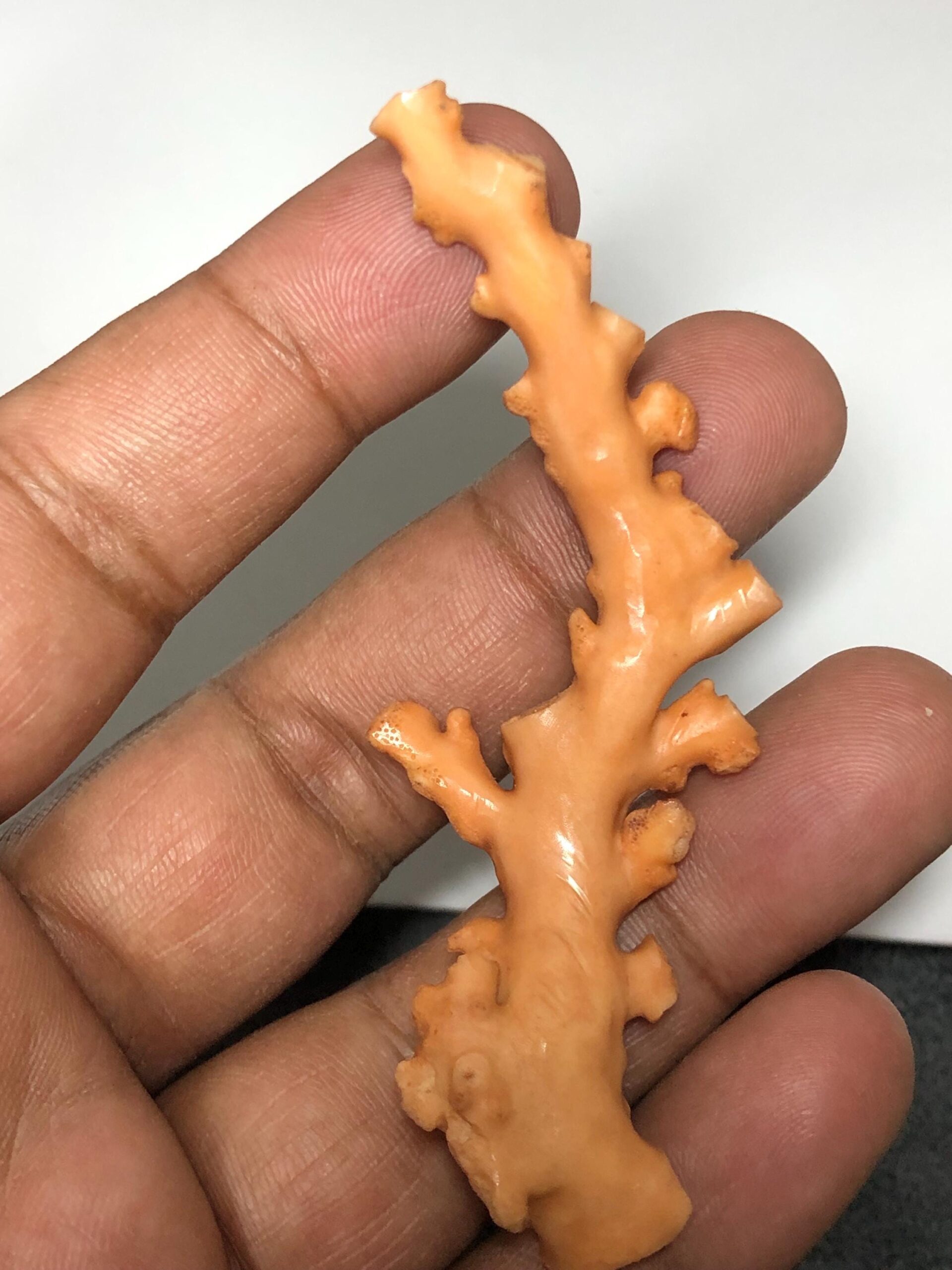 Natural Coral Branch Specimen | Organic Skeleton, Coastal Decor, Collector Piece | 10.211 grm