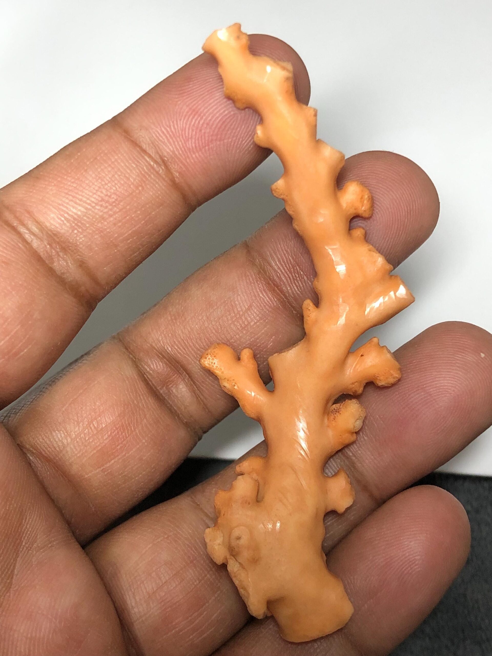 Natural Coral Branch Specimen | Organic Skeleton, Coastal Decor, Collector Piece | 10.211 grm - Image 2