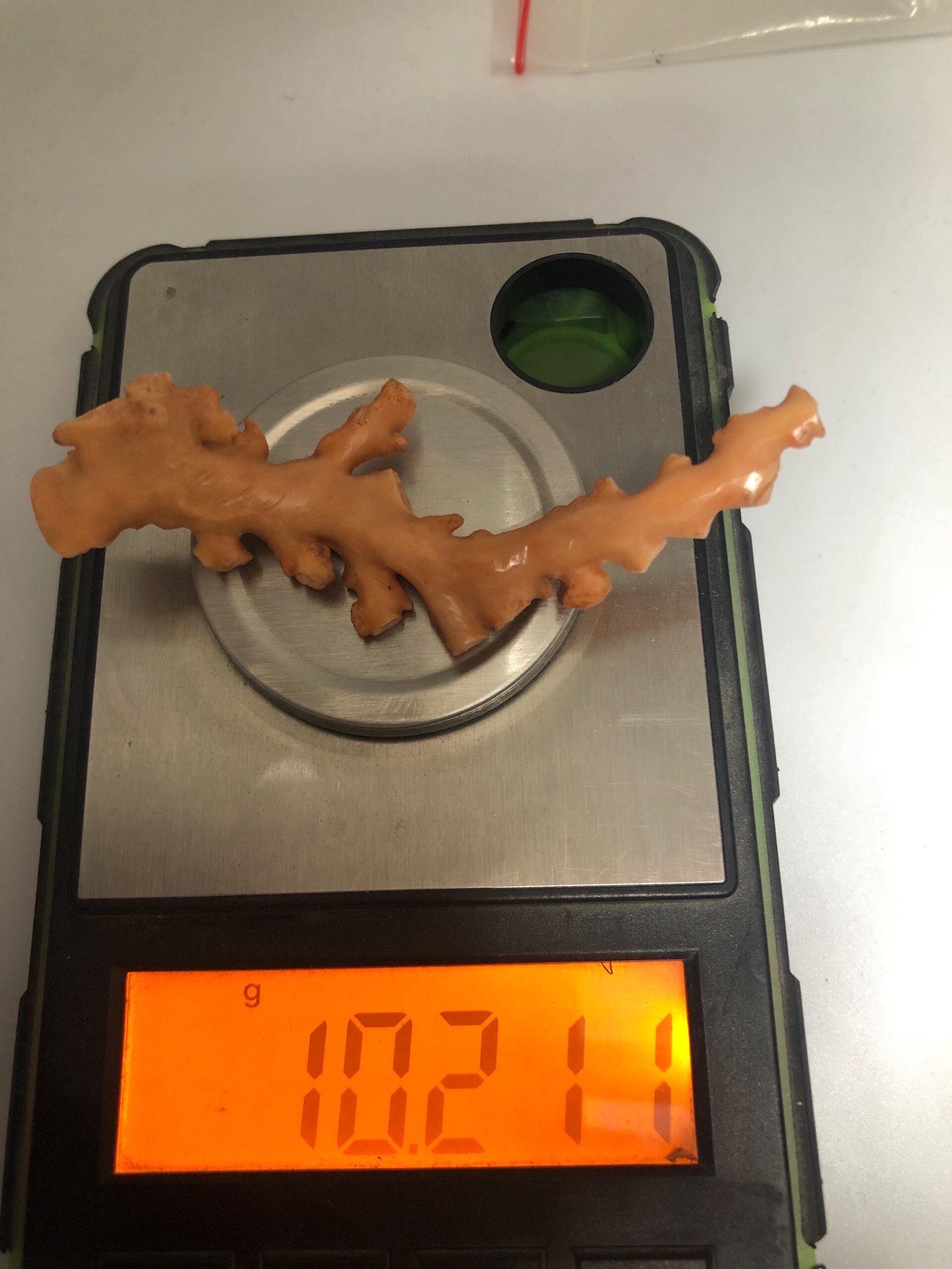Natural Coral Branch Specimen | Organic Skeleton, Coastal Decor, Collector Piece | 10.211 grm - Image 7