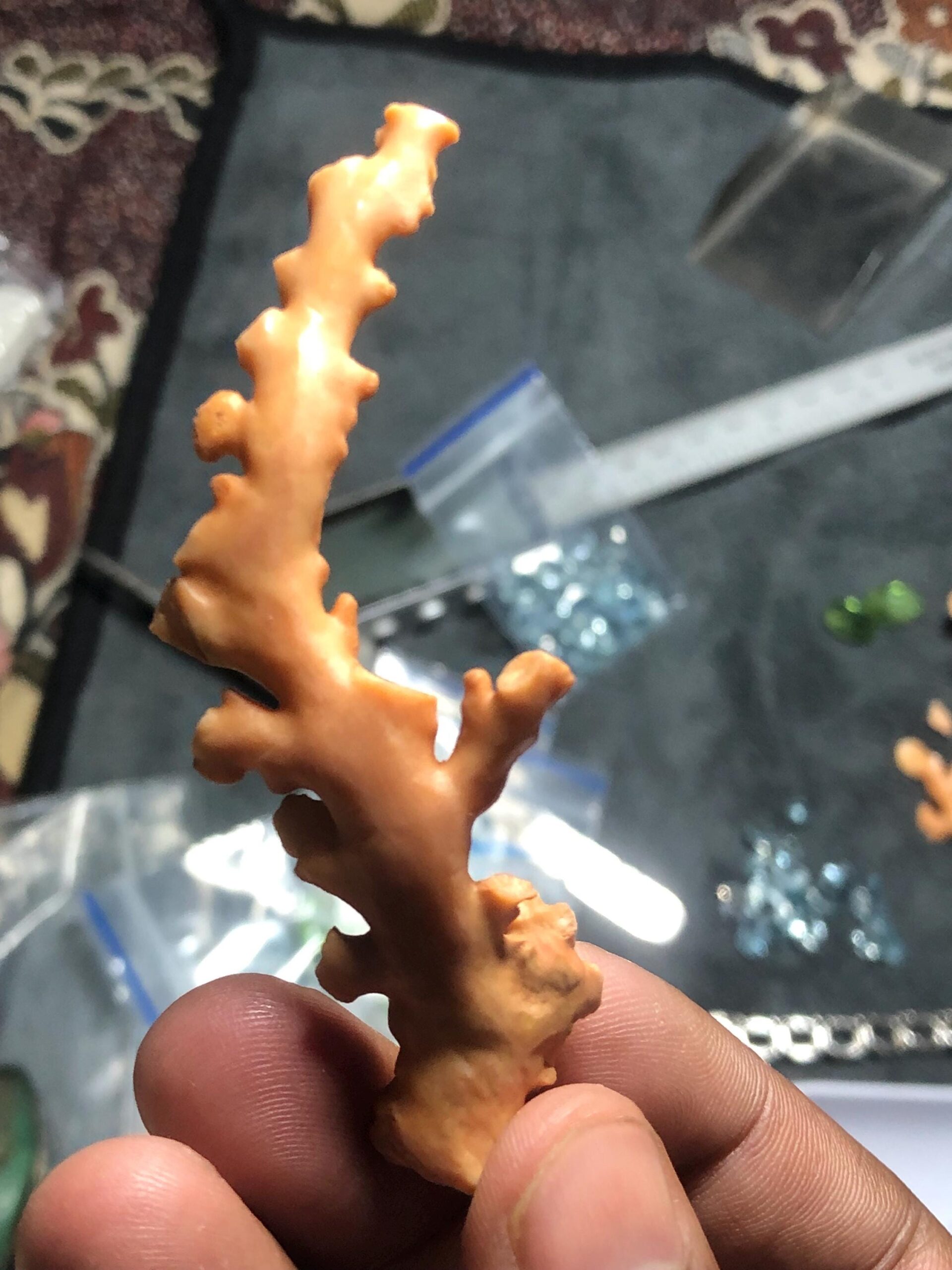 Natural Coral Branch Specimen | Organic Skeleton, Coastal Decor, Collector Piece | 10.211 grm - Image 6
