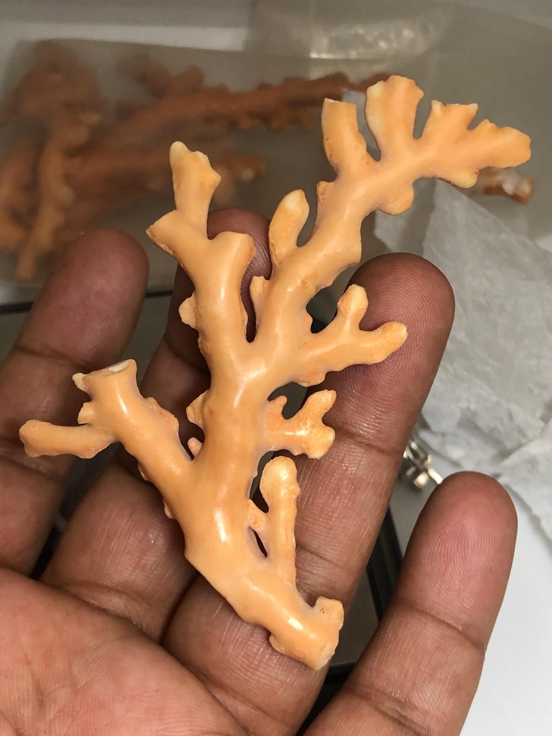 Natural Coral Rough Branch • Genuine Sea Specimen for Jewelry Making, Beach Decor, 67.625 carat - Image 2
