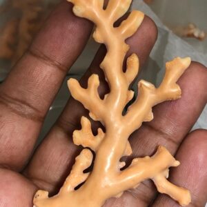 Natural Coral Rough Branch • Genuine Sea Specimen for Jewelry Making, Beach Decor, 67.625 carat