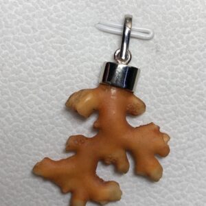 Natural Coral Branch Pendant | Sterling Silver 925 Cap, Organic Ocean Jewelry