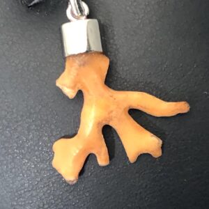 Natural Coral Branch Pendant | Orange Coral, Sterling Silver Cap, Ocean Jewelry