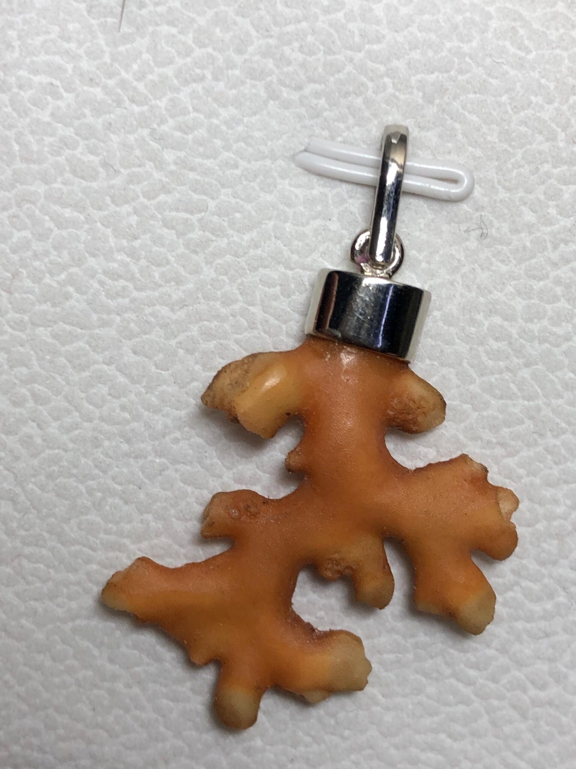 Natural Coral Branch Pendant | Sterling Silver 925 Cap, Organic Ocean Jewelry - Image 2